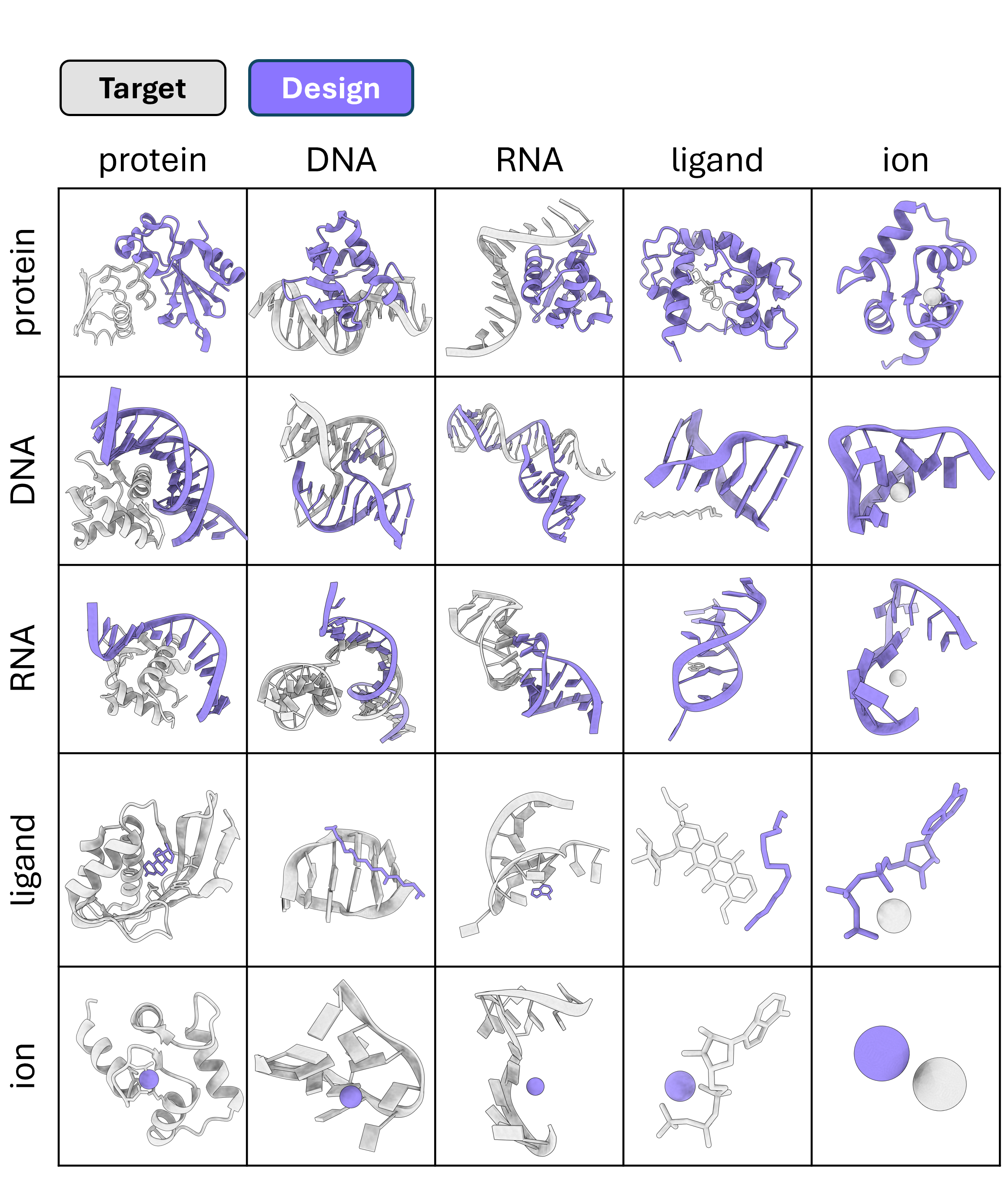 ODesign main results showcasing target and designed biomolecular complexes