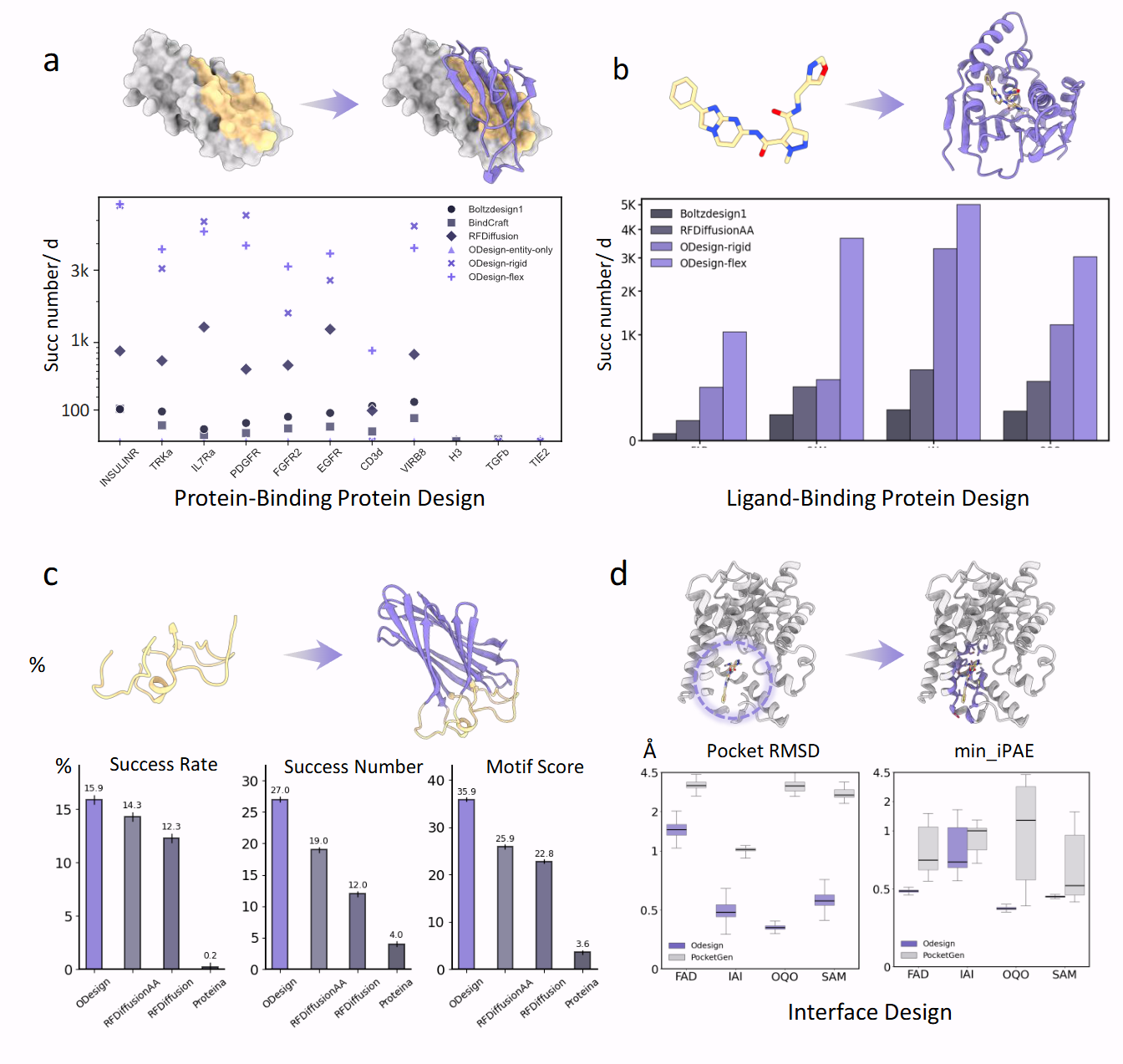 Protein design performance across binder design, motif scaffolding, and atomic scaffolding tasks